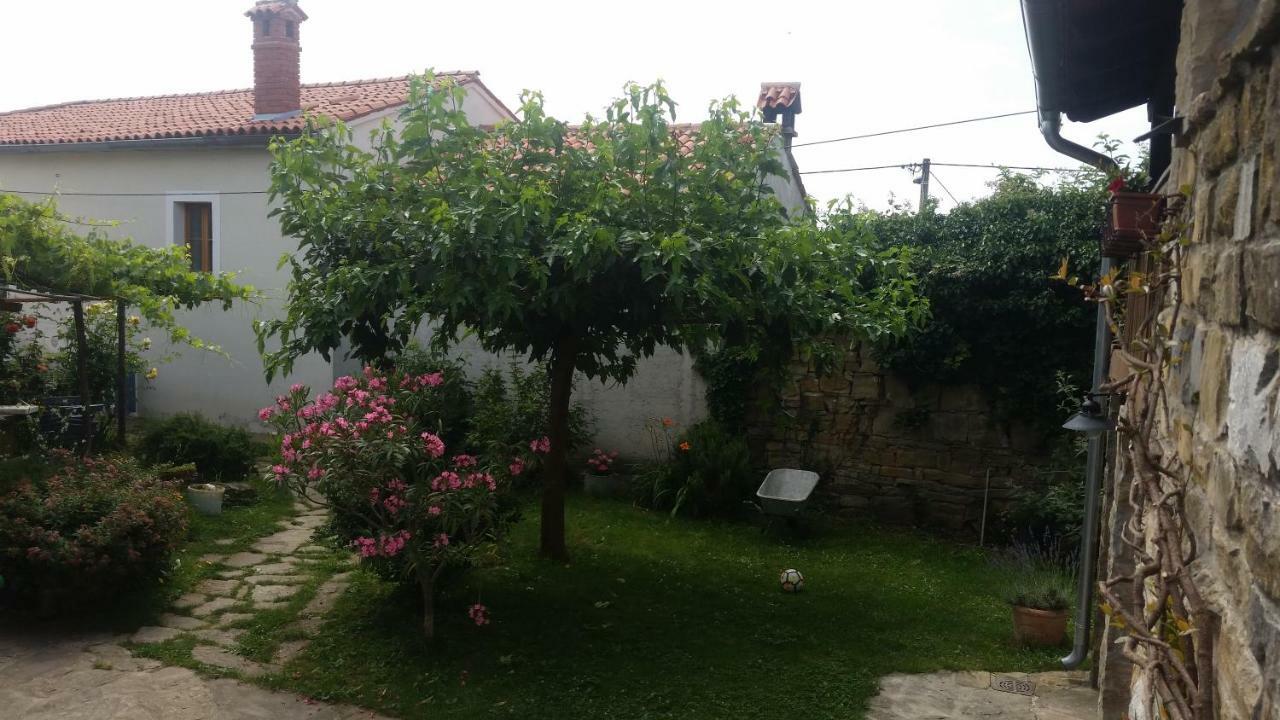 Labor Istrska Hiska Villa Marezige Exterior foto